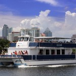 Dolphin Tour