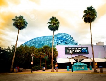 Florida Aquarium